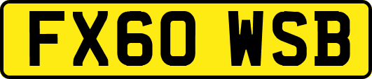 FX60WSB