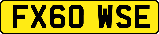FX60WSE