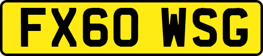 FX60WSG