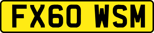 FX60WSM