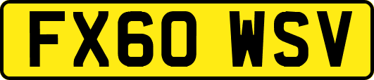 FX60WSV