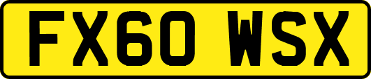 FX60WSX