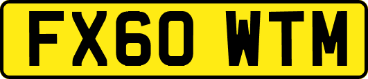 FX60WTM