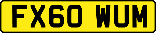 FX60WUM