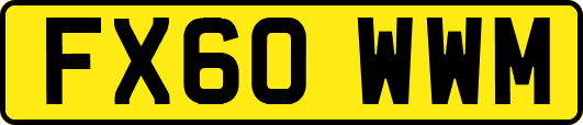 FX60WWM