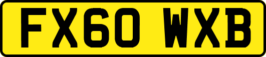FX60WXB