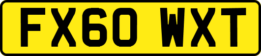 FX60WXT