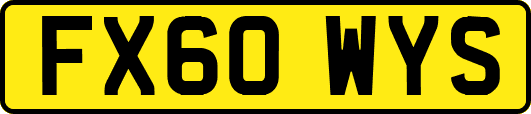 FX60WYS