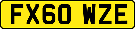 FX60WZE