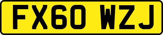 FX60WZJ