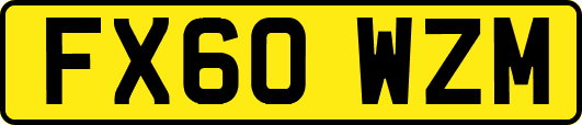 FX60WZM