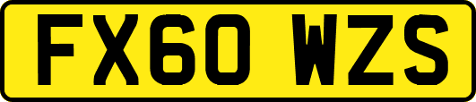 FX60WZS