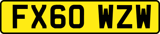 FX60WZW
