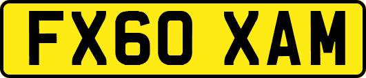 FX60XAM