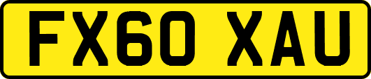 FX60XAU
