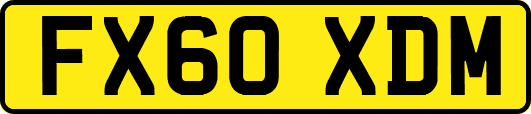 FX60XDM