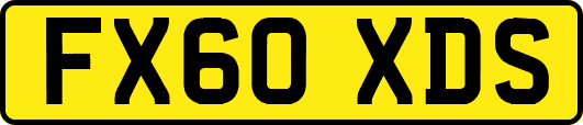 FX60XDS