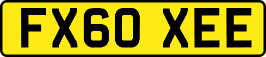 FX60XEE