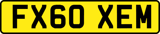 FX60XEM
