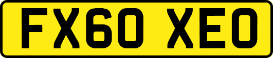 FX60XEO