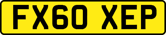 FX60XEP