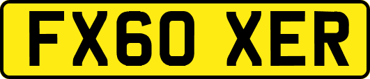 FX60XER