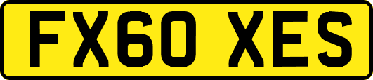 FX60XES