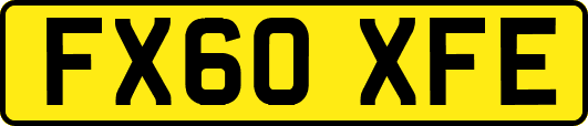 FX60XFE