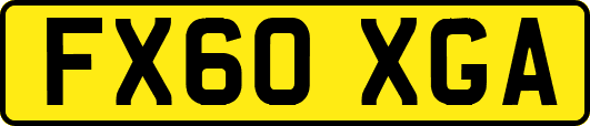 FX60XGA