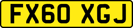 FX60XGJ
