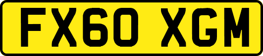 FX60XGM