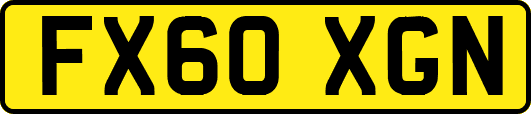 FX60XGN