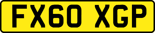 FX60XGP