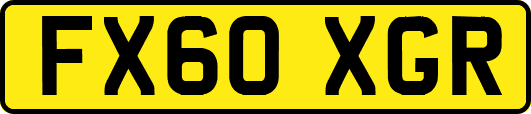 FX60XGR