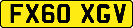 FX60XGV