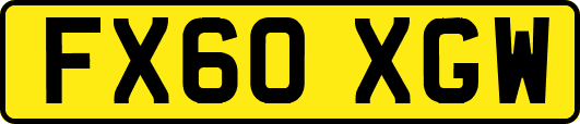 FX60XGW