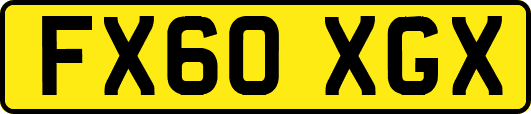 FX60XGX