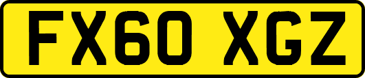 FX60XGZ