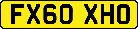 FX60XHO