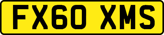 FX60XMS
