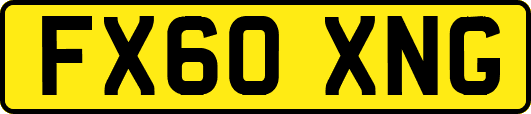 FX60XNG