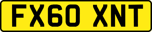 FX60XNT