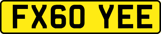 FX60YEE