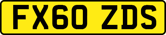 FX60ZDS