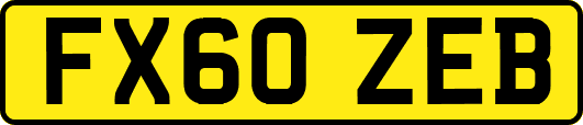 FX60ZEB