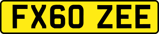 FX60ZEE