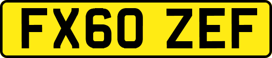 FX60ZEF