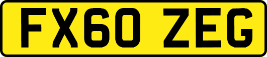FX60ZEG