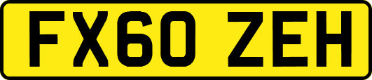 FX60ZEH