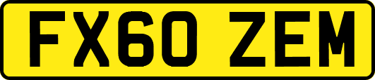 FX60ZEM